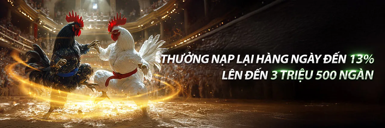 Benvip Nhà Cái 2026 - Cá cược thể thao trực tuyến đỉnh cao